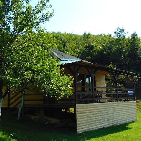 Forest Lodge On The Pyramid Visoko Exteriör bild