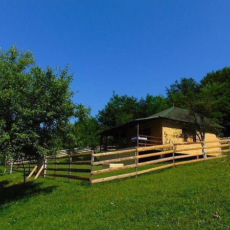 Forest Lodge On The Pyramid Visoko Exteriör bild