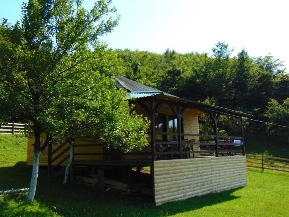 Forest Lodge On The Pyramid Visoko Exteriör bild