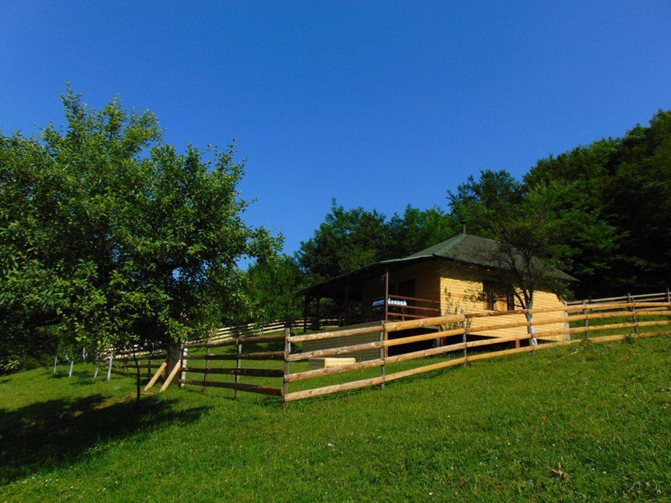 Forest Lodge On The Pyramid Visoko Exteriör bild