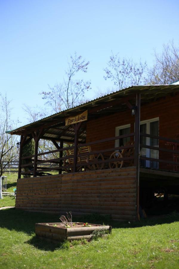 Forest Lodge On The Pyramid Visoko Exteriör bild